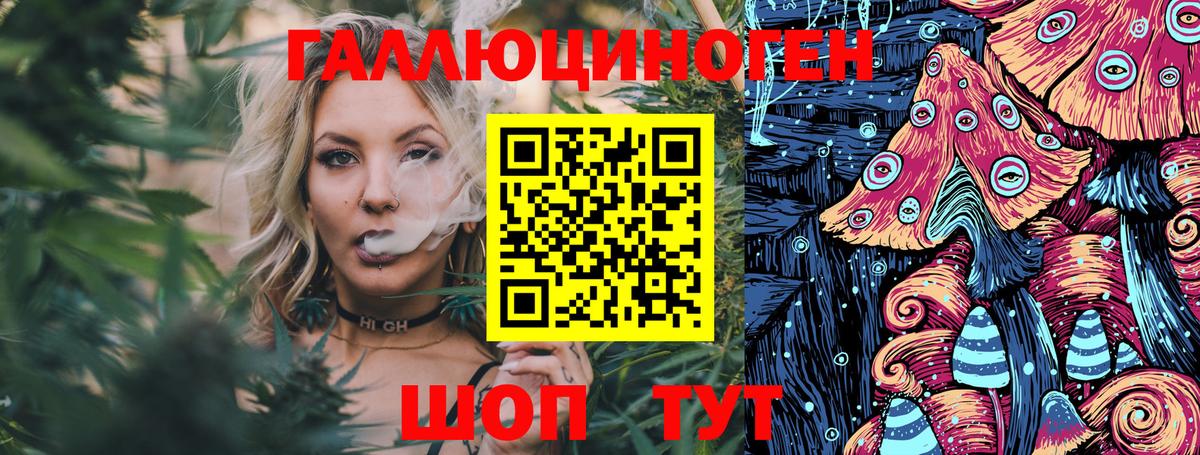 Псилоцибиновые грибы мицелий Анжеро-Судженск
