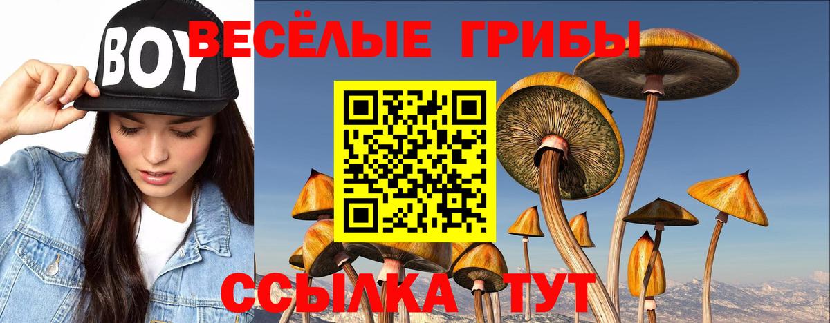 Псилоцибиновые грибы MAGIC MUSHROOMS  Псилоцибиновые грибы прущие грибы  Вход с VPN  Анжеро-Судженск 
